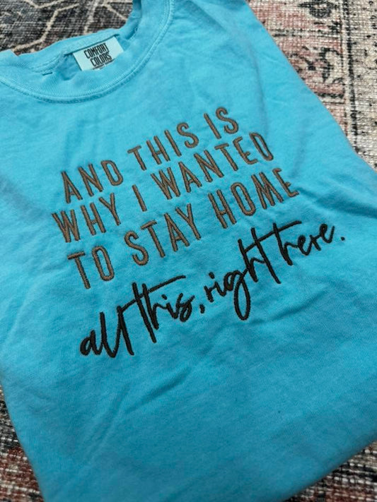And This is Why I Wanted to Stay Home T-Shirt